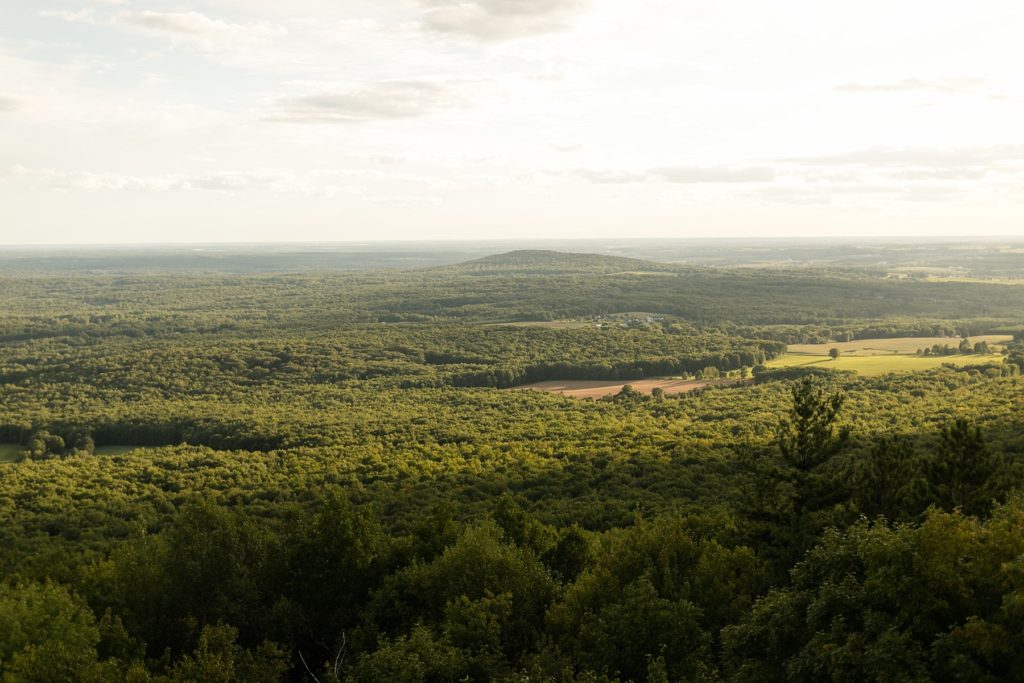 view from the tower at Rib Mountain State Park in Wausau for their engagement pictures
