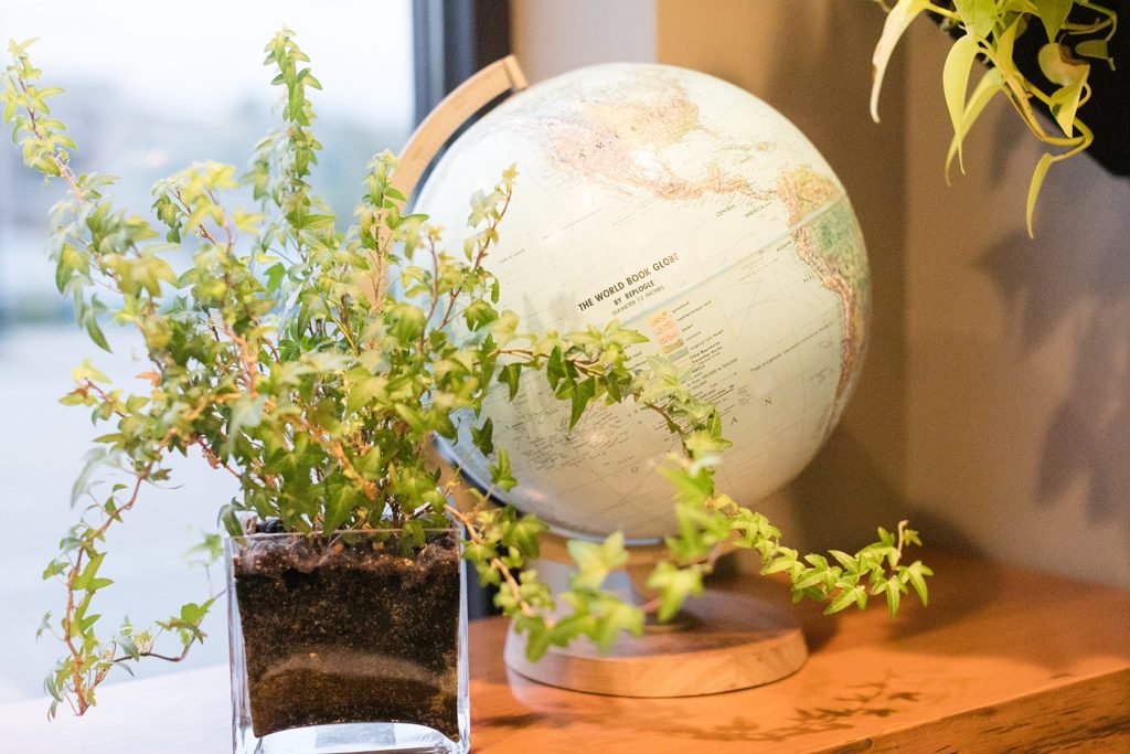globe and plant in the lobby of The Oxbow Hotel in Eau Claire