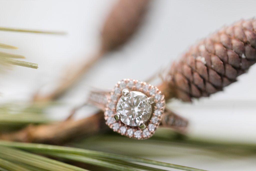 rose gold halo engagement ring on a pine branch for a winter engagement session